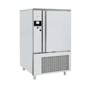 Home abatidor de temperatura 10 bandejas INFRICO