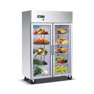 Armario Expositor Refrigerado Serie Plus CASFRI modelo FGC-202 INOX