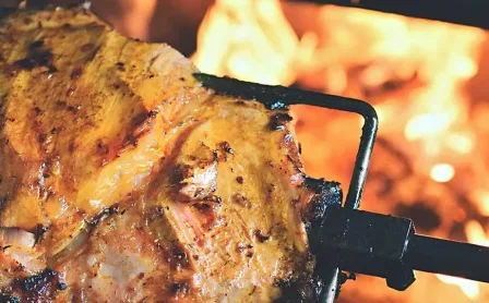 Descubre el mejor asador de pollos para tu negocio de hostelería. Compara asadores a gas, eléctricos y a leña, y elige el adecuado para mejorar la eficiencia y calidad de tus preparaciones.